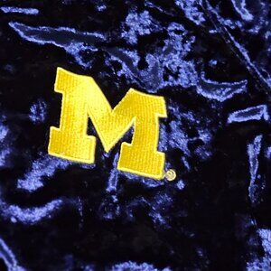 Michigan wolverines outfit